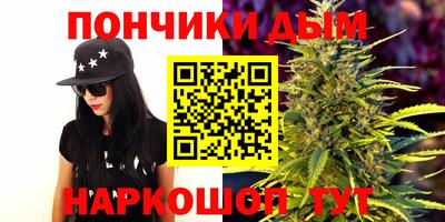 мдпв Кингисепп
