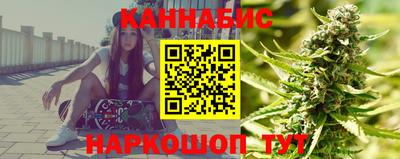 мдпв Кингисепп