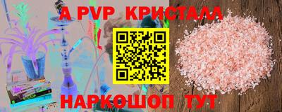 мдпв Кингисепп