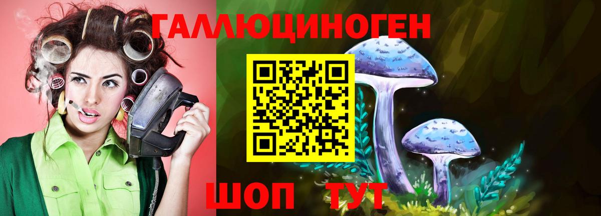 Галлюциногенные грибы MAGIC MUSHROOMS Курганинск